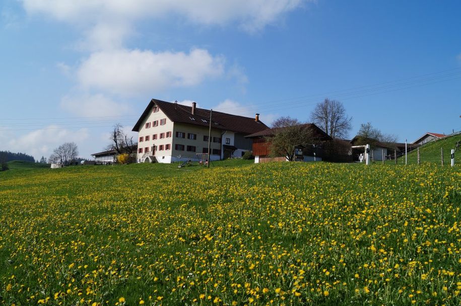 Bauernhof Sommer