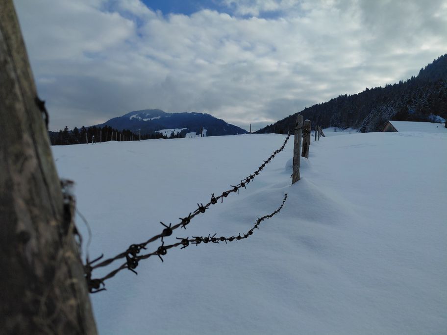 Winterwanderung rund um Hittisau