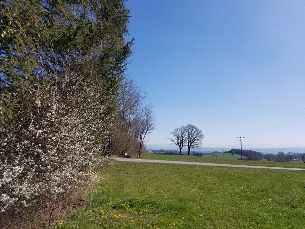 Bergblick bei Ehrlach