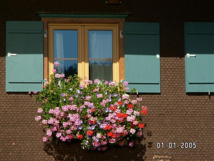 Blumenfenster