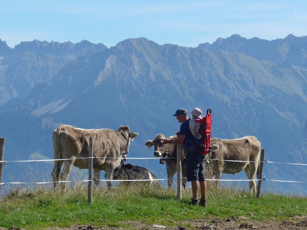 Wandern - den Gipfeln so nah!