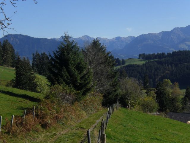Herbstspaziergang