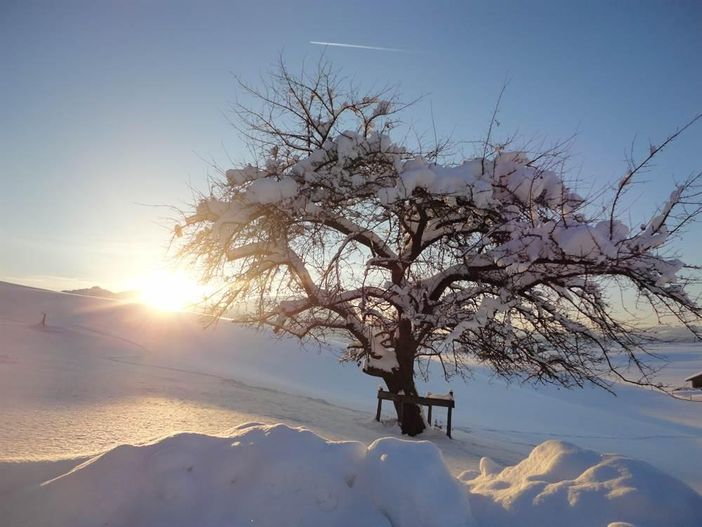 Winter in Humbach