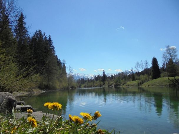 Frühling am Auwaldsee in Fischen im Allgäu