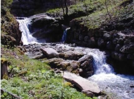 Wildbach direkt hinterm Haus