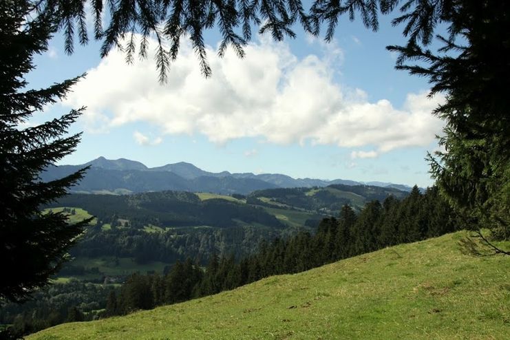 Wiederhofen-Kreuz Ochsenberg-Kammweg-Geratsried-im Tal-Ochsengasse-Wiederhofen