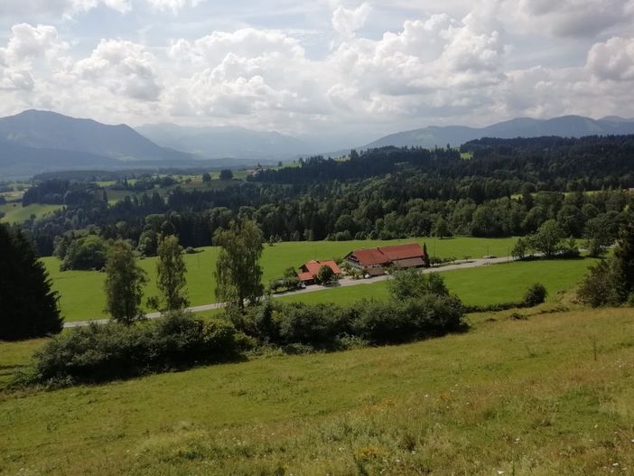 Blick von unserer Viehweide