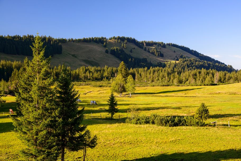 Vom Imberg durch das Häderichmoos - Moore und Alpen