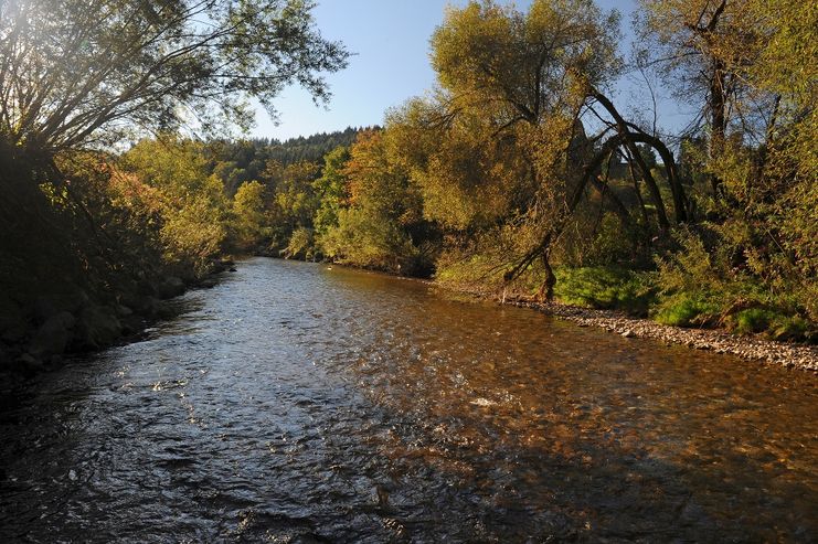 Untere Argen bei Isny-Neutrauchburg