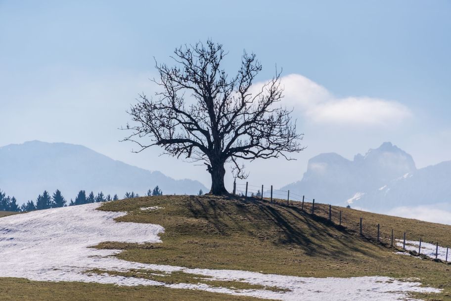 Wunderschöne Ausblicke in die Natur mit Bergwelt im Hintergrund.