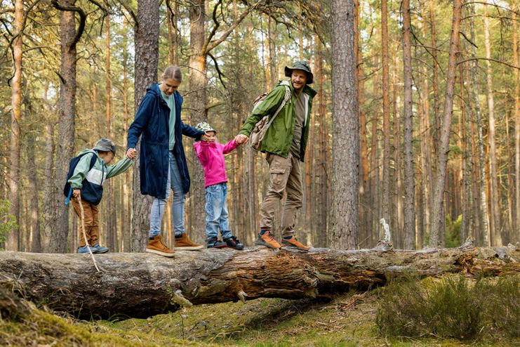 Familienspaziergang im Wald