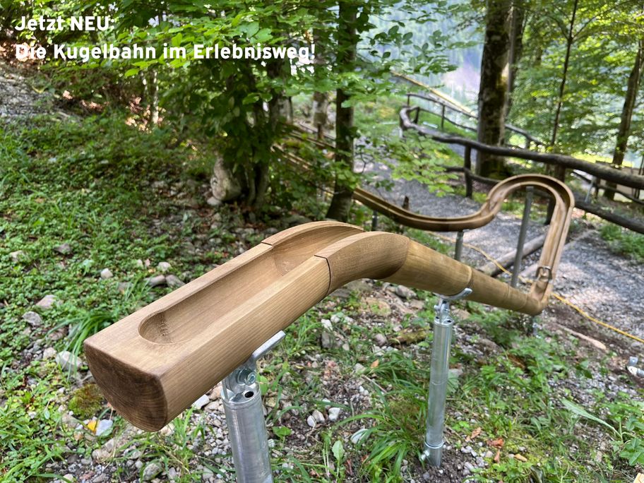 Start_an_der_Kugelbahn