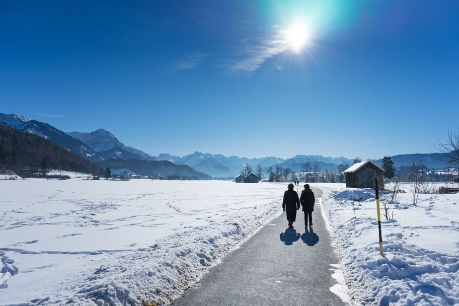 Winterliche Illerauen