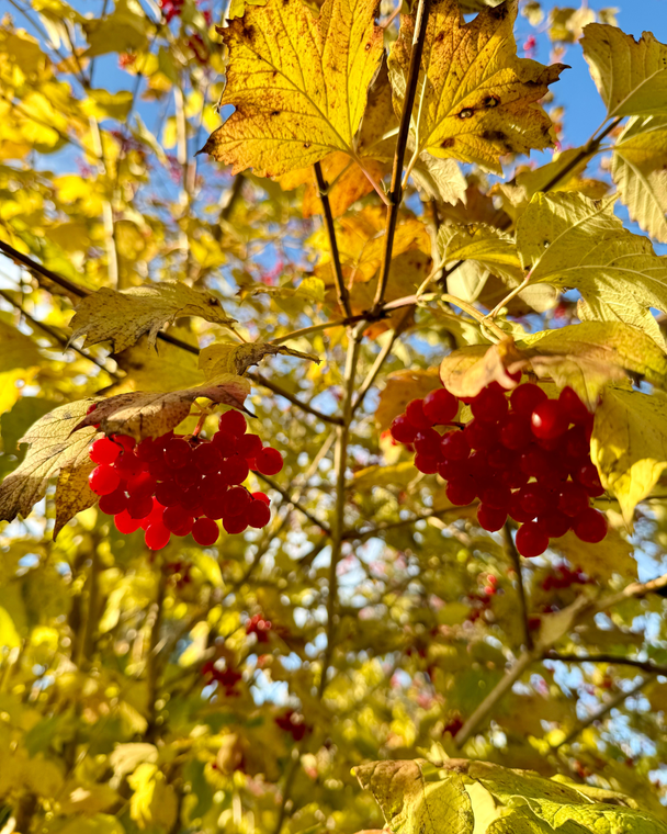 Wertach-Viehweid-Runde
