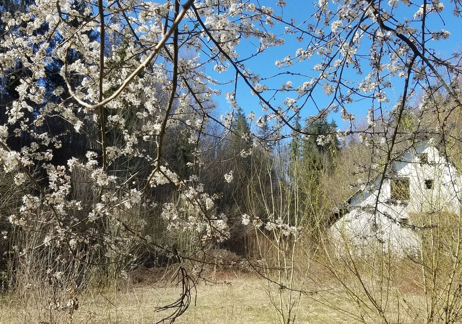 Die ehemalige Praßberger Mühle