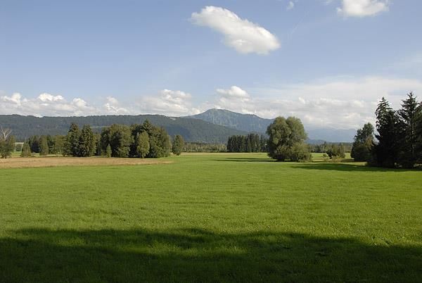 Hinterm Haus 3