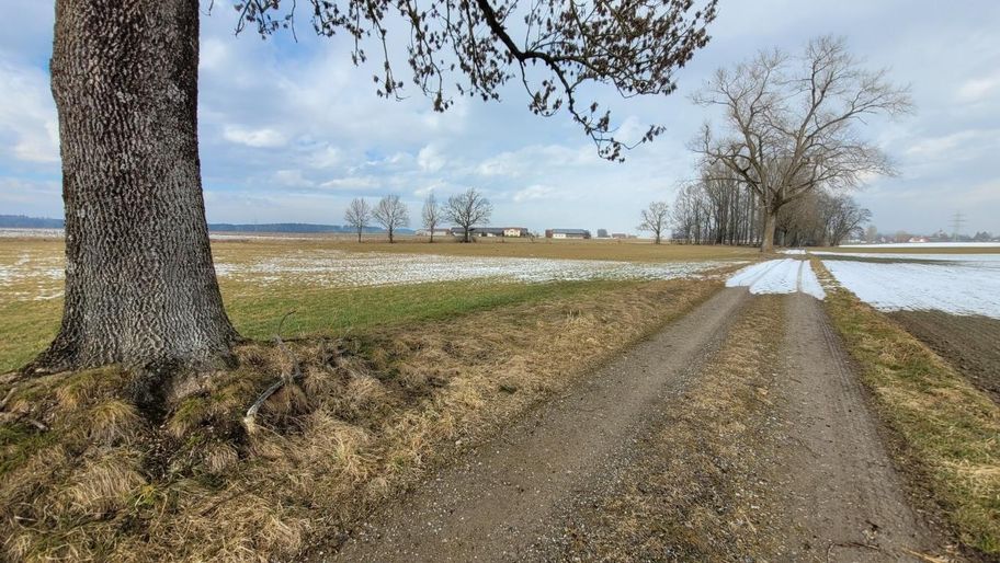 Stadtwaldrunde in Buchloe