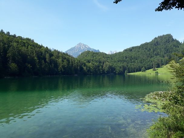 Alatsee