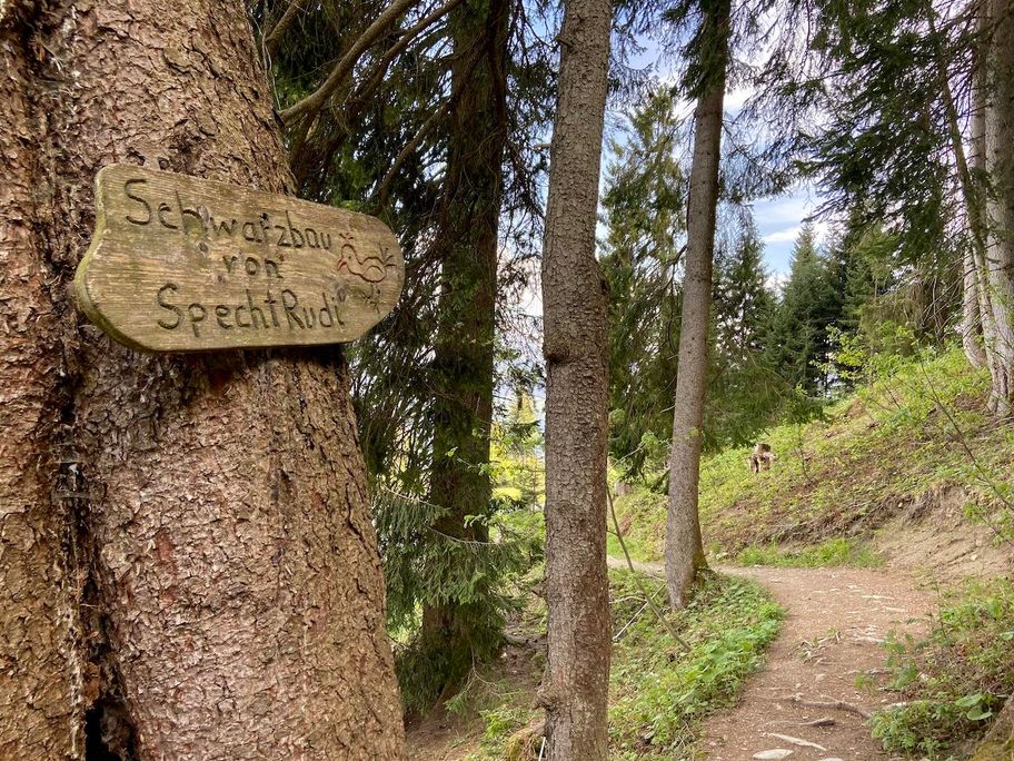 Hochbichl Hütte in Ofterschwang