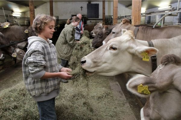Landwirtschaft hautnah erleben