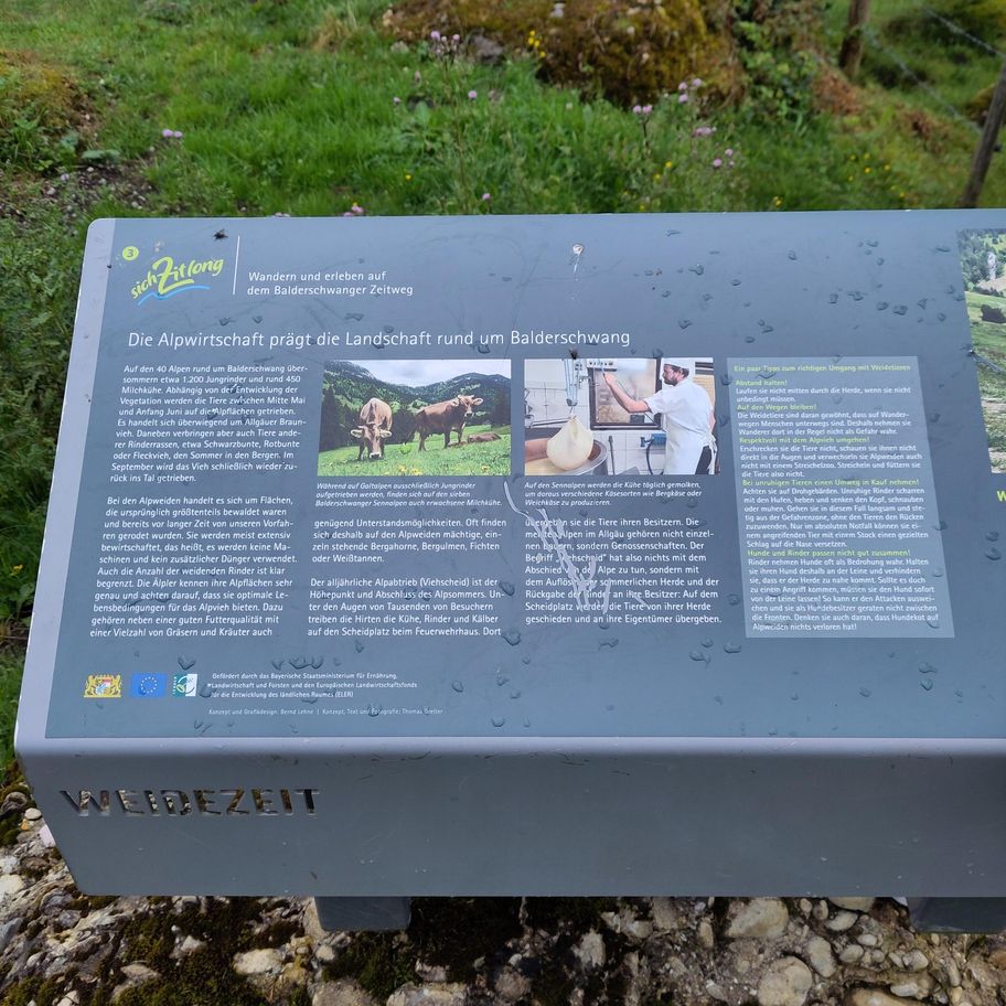 Balderschwang- Sich zit long Weg