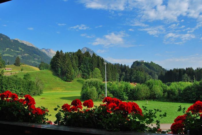 allgäulodge Aussicht