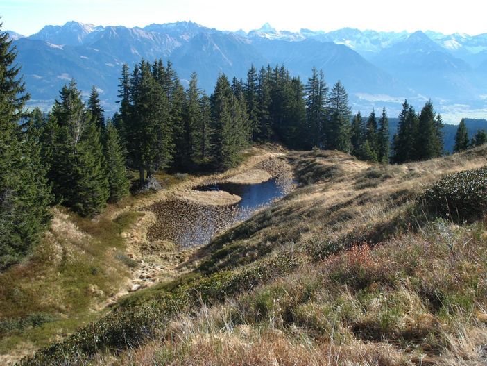 Wannenkopf