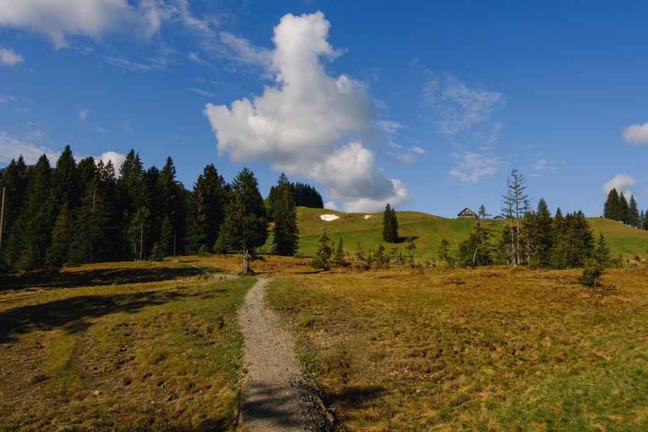 Zwischen Mittelberg und Seifenmoos