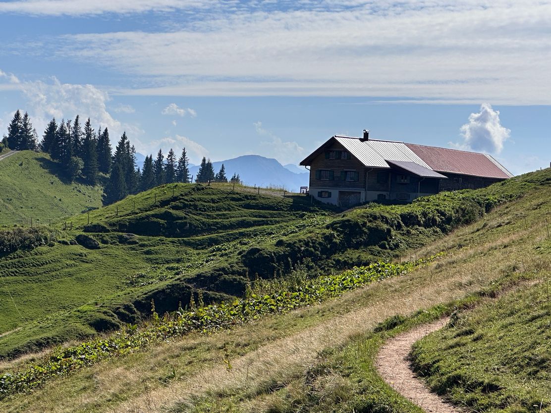 Von der Scheidwang-Alpe auf den Hochgrat