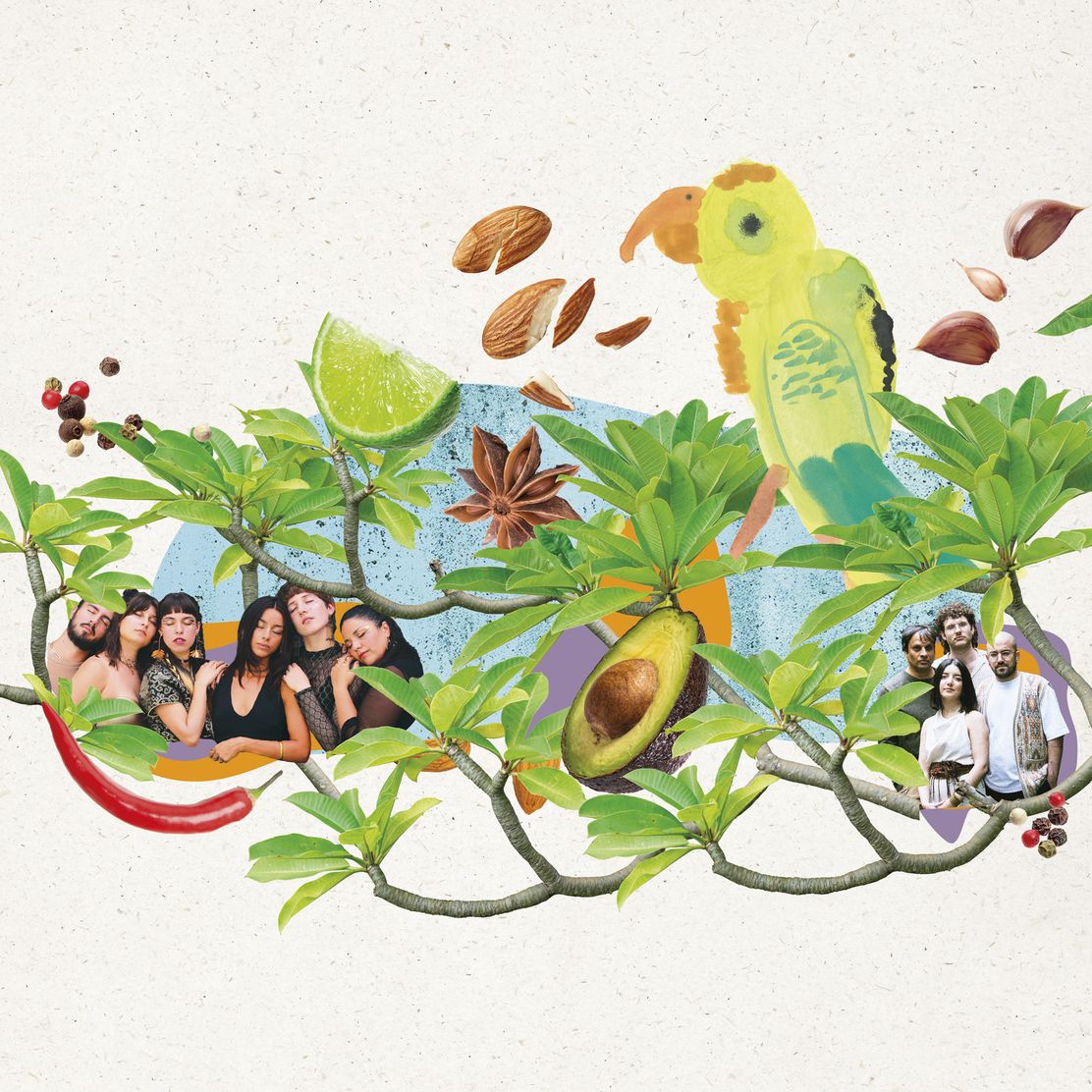 sdf_fdk_web_mai_2025_rz