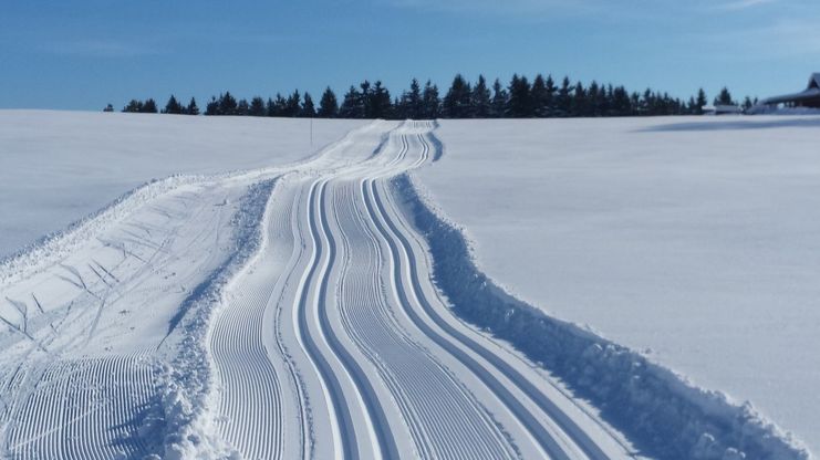 Loipe in Argenbühl