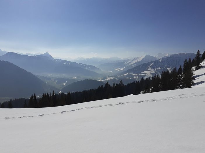 Weitblick