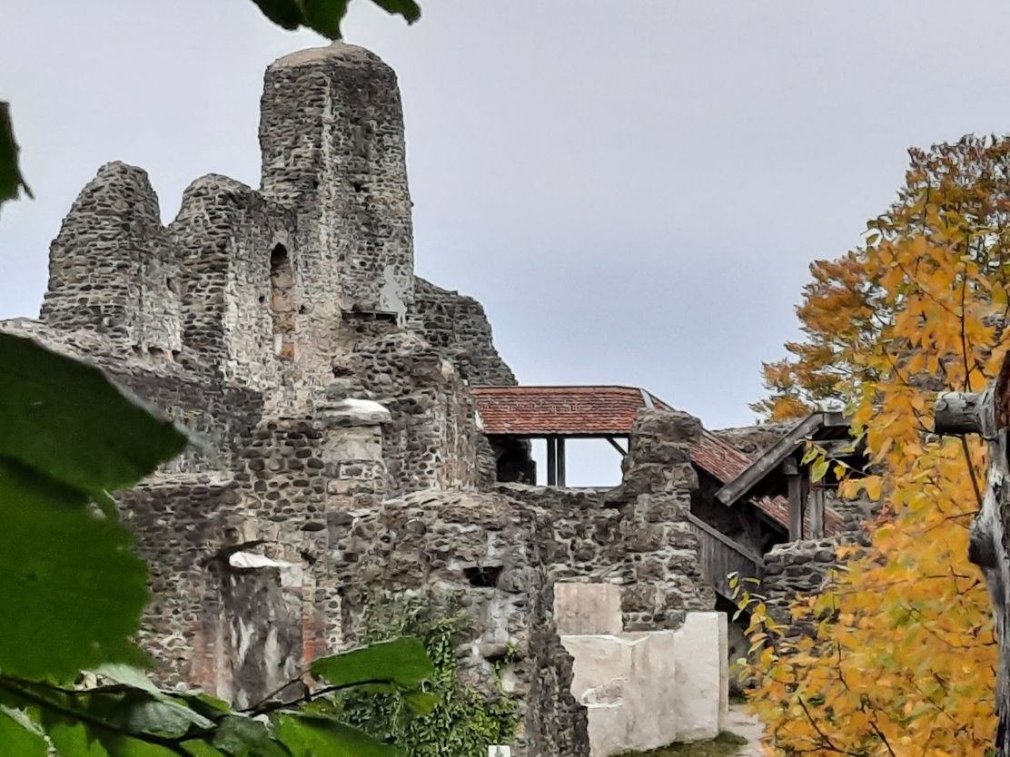 Alttrauchburg Burgruine