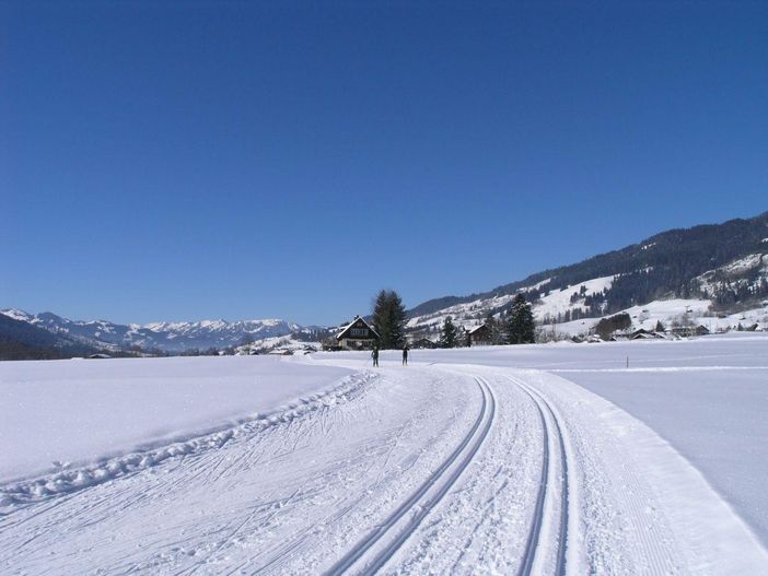 Winterimpressionen