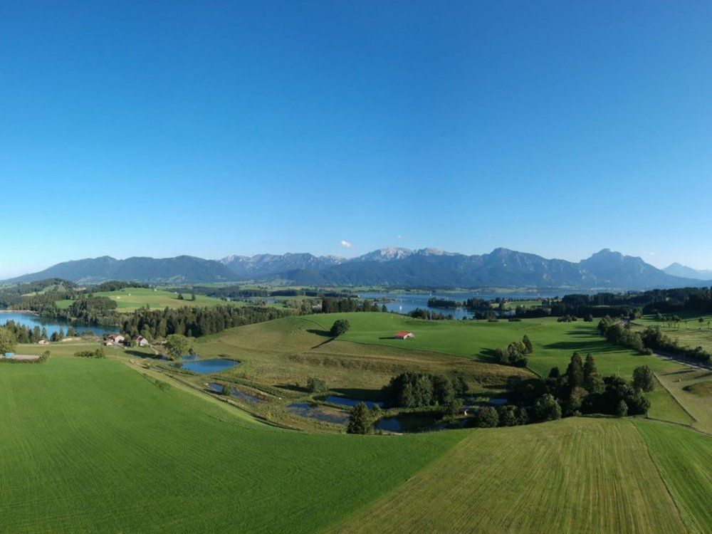 70774991_238004397120026_7895091815030718464_n