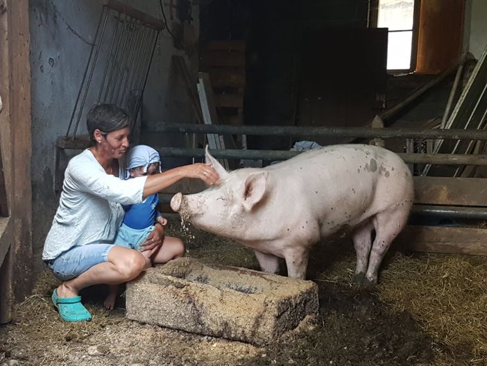 auch unser Schweinchen liebt es gestreichelt zu werden