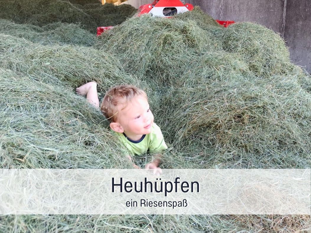 Heuhüpfen