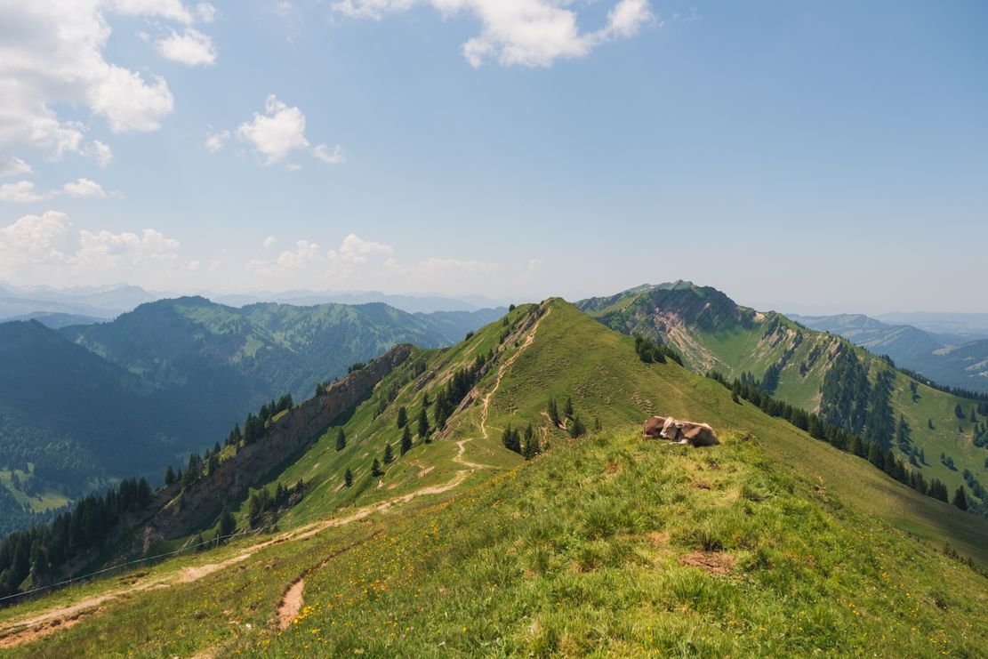 Blick vom Stuiben nach Westen