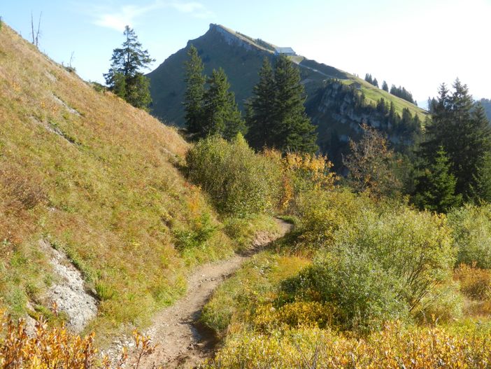 Blick zum Hochgrat