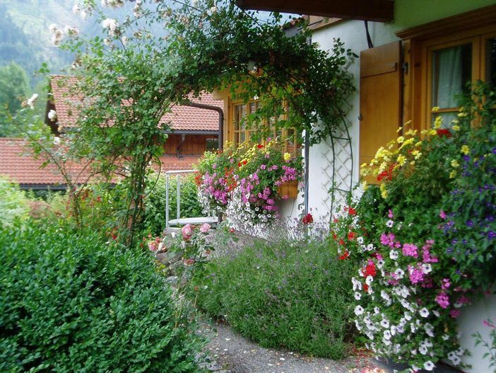 Blumen im Osten