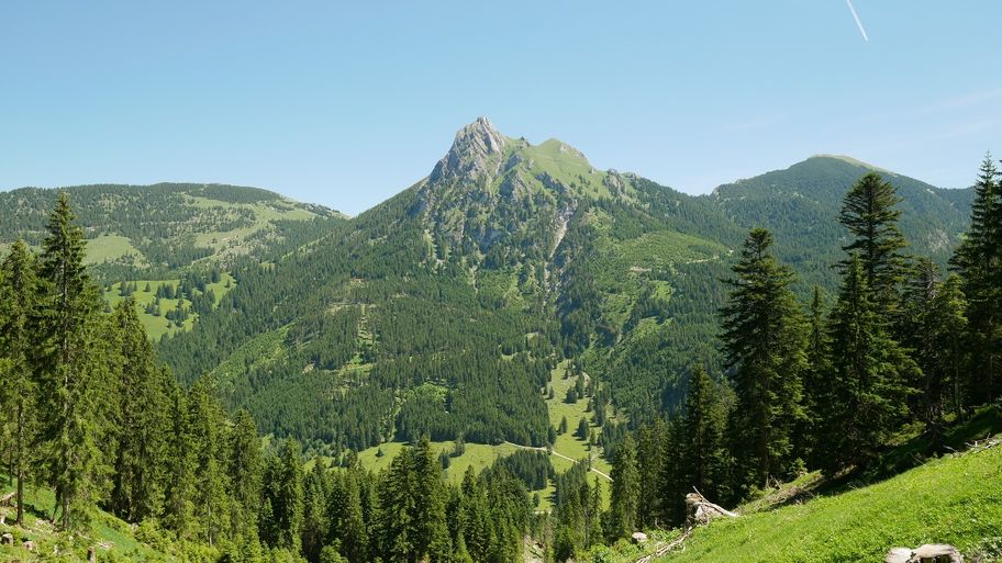 Blick auf den Aggenstein