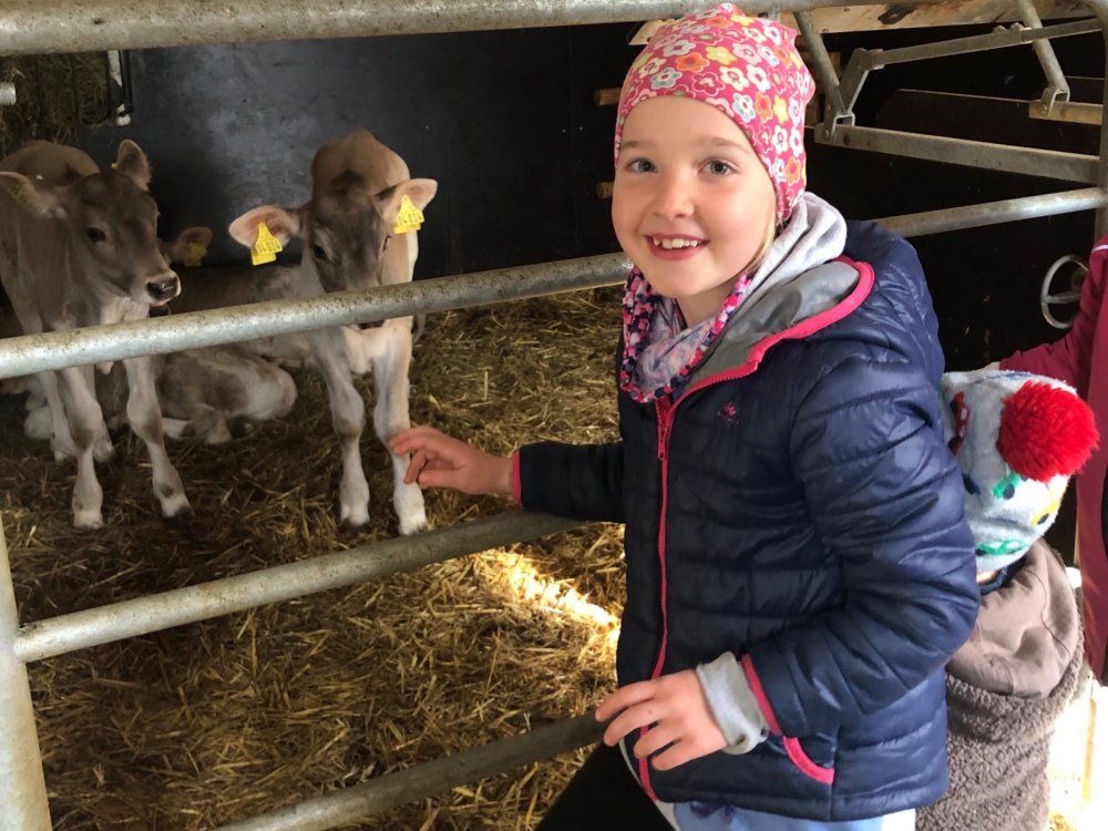 Unsere netten Kälbchen