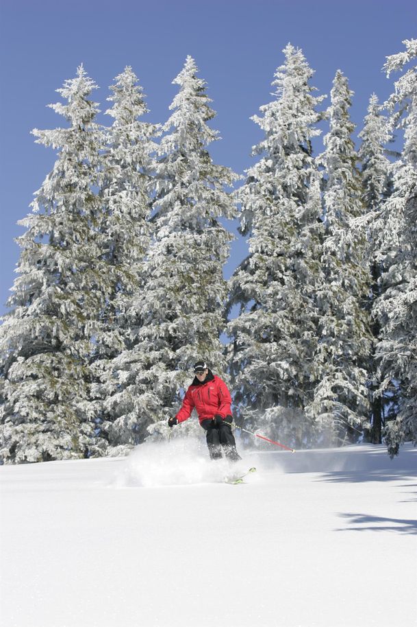Für die erfahreneren Skifahrer gehts ins Gelände