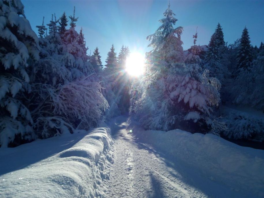 Winterwanderweg an der Iller