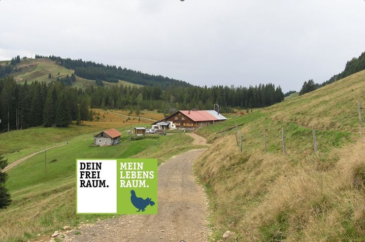 Blick auf die Alpe Glutschwanden