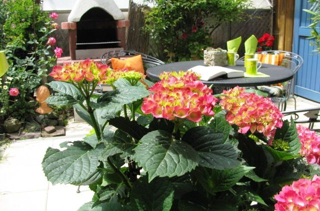 Sonnenterrasse, gemeinsamer Garten zum Austauschen, Spielen und für gesellige  Grillabende