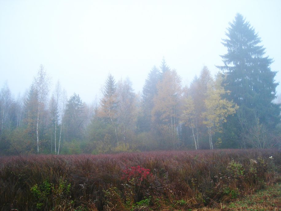 images =ktober 184
