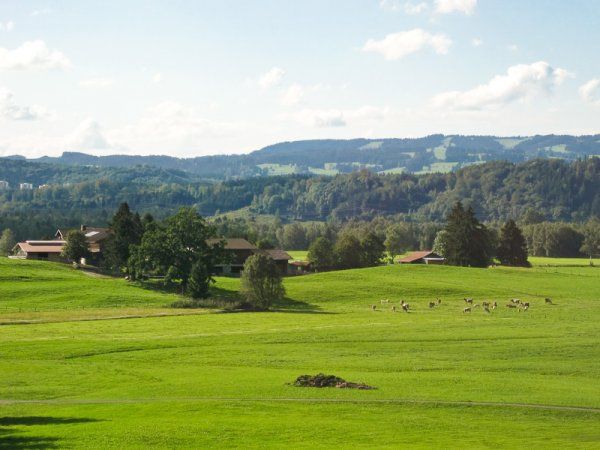 Genießen Sie den herrlichen Ausblick