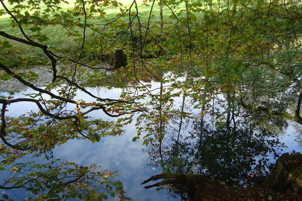 Lichspiele im Halder Tobel