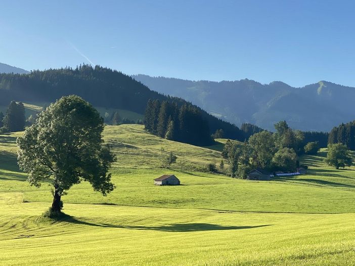 Weg von Hofen nach Beilenberg